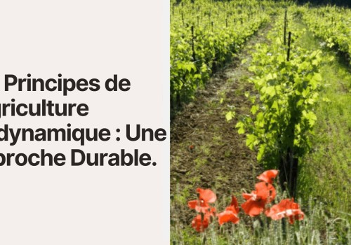 Les Principes de l'Agriculture Biodynamique : Une Approche Durable