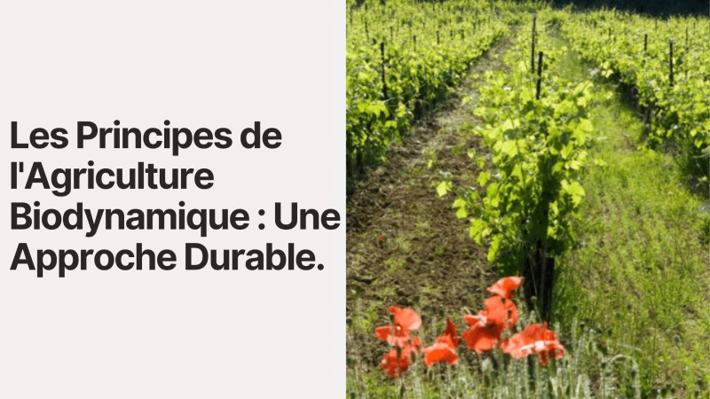 Les Principes de l'Agriculture Biodynamique : Une Approche Durable
