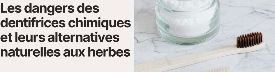 Problématique pour la santé des dentifrices chimiques et alternatives naturelles aux herbes Problématique pour la santé des dentifrices chimiques et alternatives naturelles aux herbes