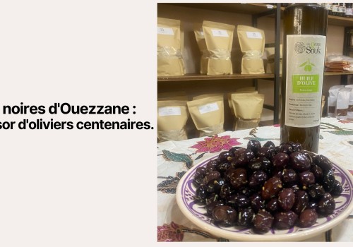 Olives noires d'Ouezzane : Un trésor d'oliviers centenaires