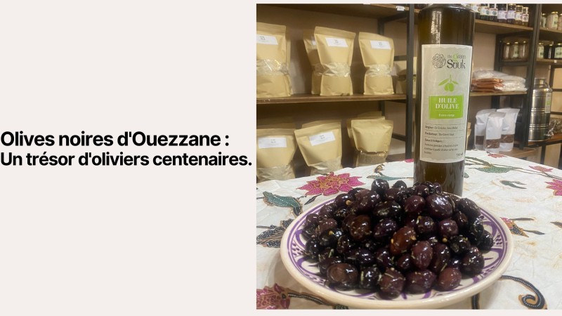 Black Olives from Ouezzane: A Treasure of Century-Old Olive Trees