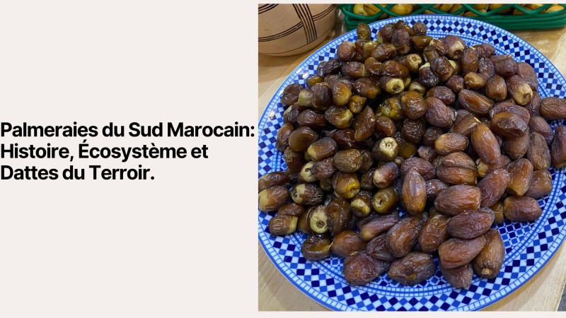 Date Palm Groves of Southern Morocco: History, Ecosystem and Terroir Dates