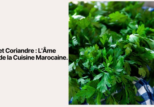 Persil et Coriandre : L'Âme Verte de la Cuisine Marocaine