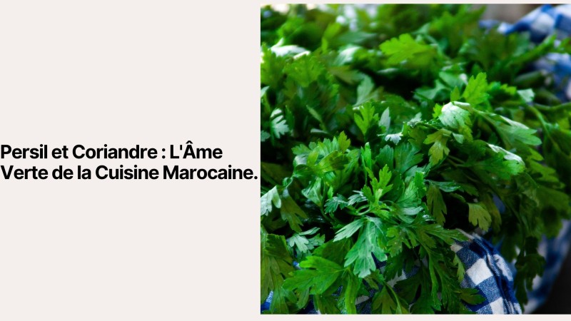 Persil et Coriandre : L'Âme Verte de la Cuisine Marocaine