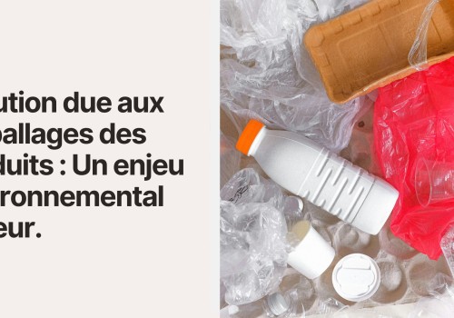 Pollution due aux emballages des produits : Un enjeu environnemental majeur