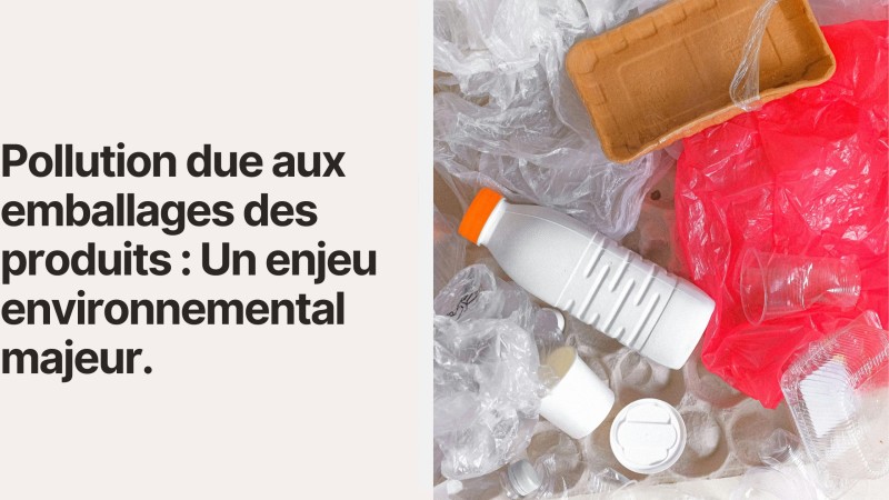 Pollution due aux emballages des produits : Un enjeu environnemental majeur