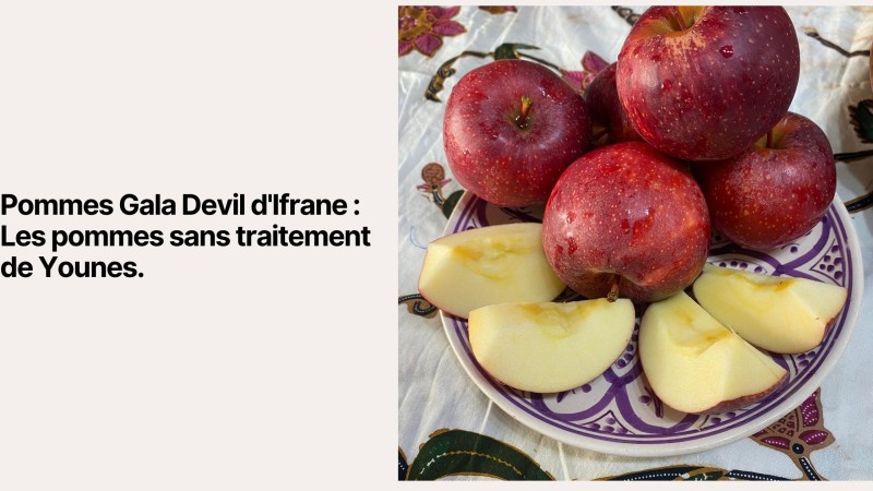 Gala Devil Apples from Ifrane: Younes's Untreated Apples