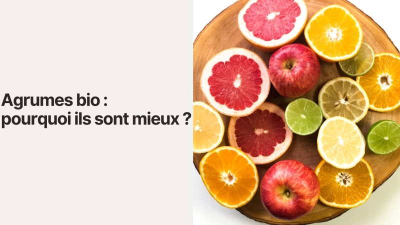 Agrumes bio : pourquoi ils sont mieux ?