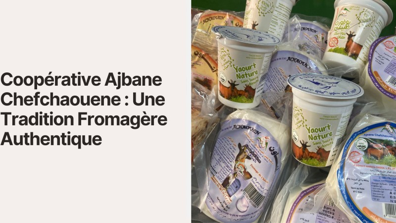 Coopérative Ajbane Chefchaouene : Une Tradition Fromagère Authentique
