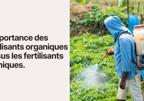 L'importance des fertilisants organiques versus les fertilisants chimiques