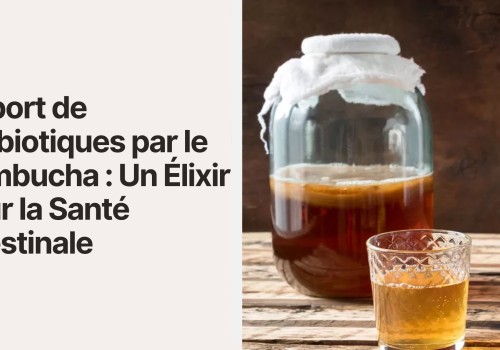 Apport de Probiotiques par le Kombucha : Un Élixir pour la Santé Intestinale