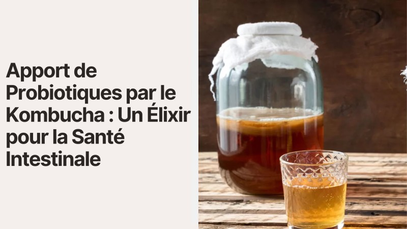 Apport de Probiotiques par le Kombucha : Un Élixir pour la Santé Intestinale