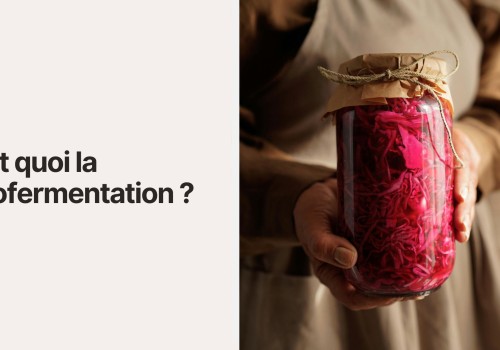 C'est quoi la lactofermentation ?