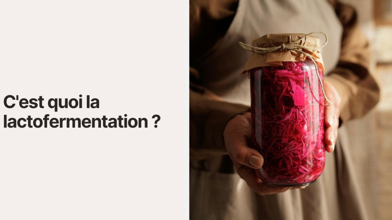 C'est quoi la lactofermentation ?