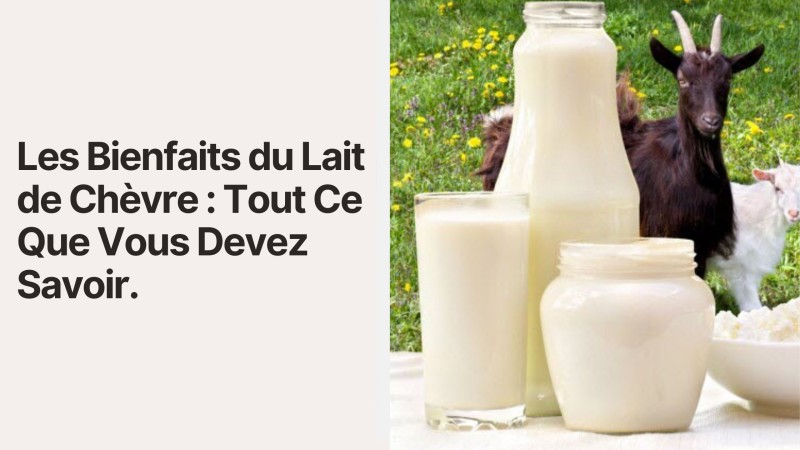 Les Bienfaits du Lait de Chèvre : Tout Ce Que Vous Devez Savoir