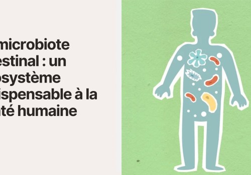 Le microbiote intestinal : un écosystème indispensable à la santé humaine