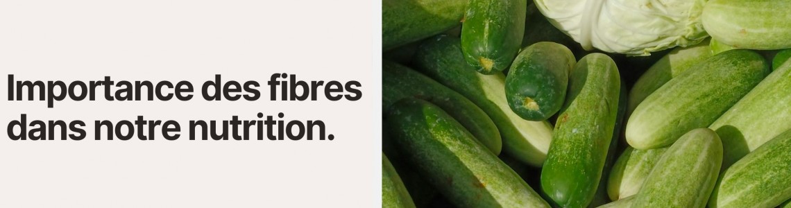 Importance des fibres dans notre nutrition Importance des fibres dans notre nutrition