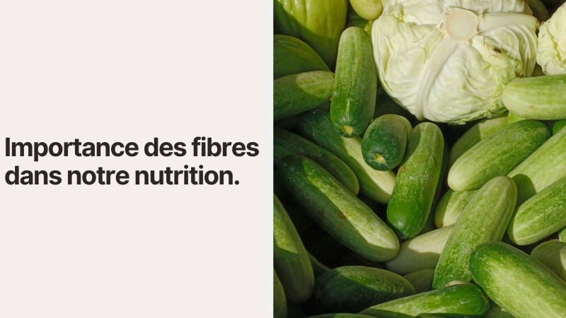Importance des fibres dans notre nutrition