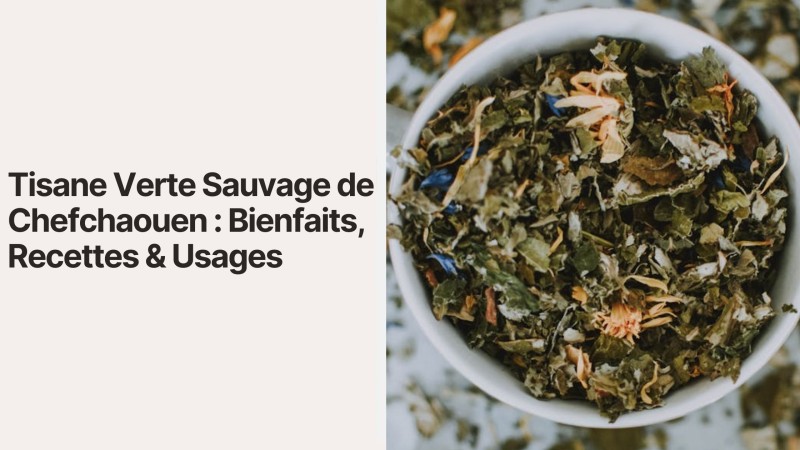 Tisane Verte Sauvage de Chefchaouen : Bienfaits, Recettes & Usages