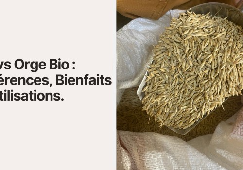 La différence entre blé et orge bio chez The Green Souk