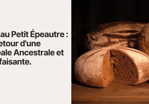 Pain au Petit Épeautre : Le Retour d'une Céréale Ancestrale et Bienfaisante