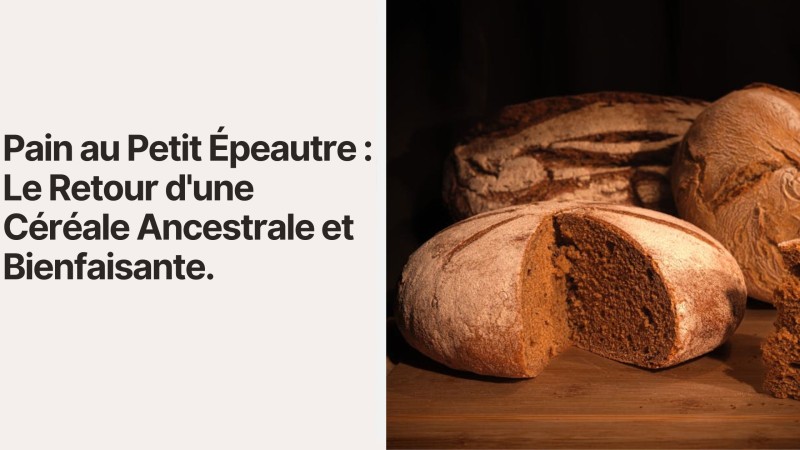 Pain au Petit Épeautre : Le Retour d'une Céréale Ancestrale et Bienfaisante