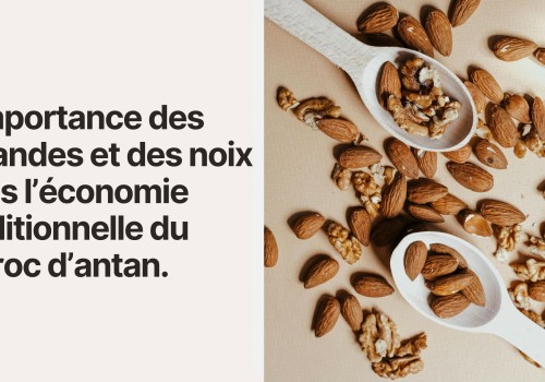L’importance des amandes et des noix dans l’économie traditionnelle du Maroc d’antan