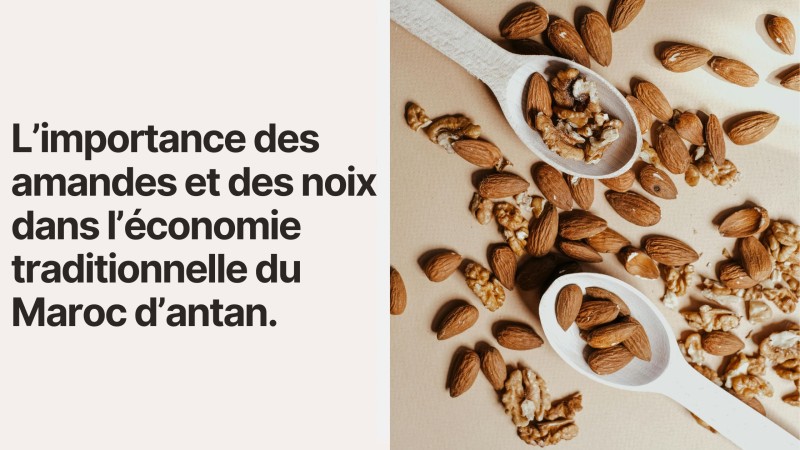 L’importance des amandes et des noix dans l’économie traditionnelle du Maroc d’antan