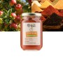 Artisan Organic Apple & Spice Jam – 380 g