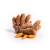 Fresh Organic Turmeric – 100 g