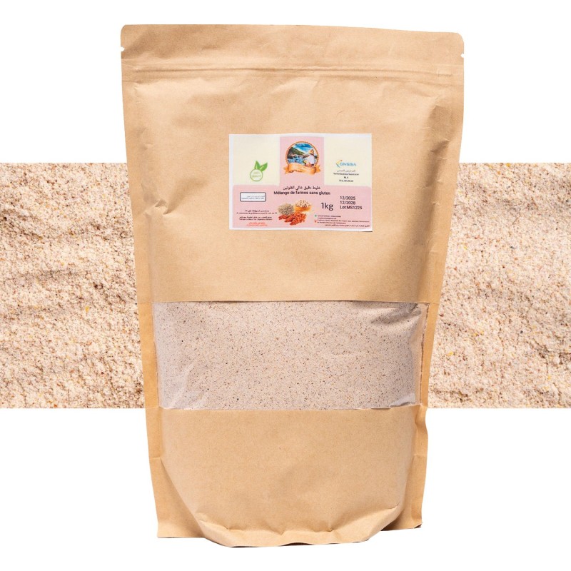 Farine Mixte Bio Sans Gluten – 1 kg