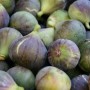 Figues Beldi bio – 1 kg
