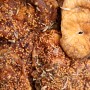 Figues Bio Séchées à l'Origan – 250 g