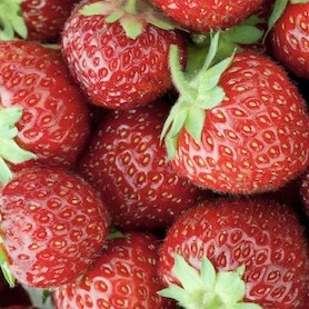 Fraises Beldi – 1 kg