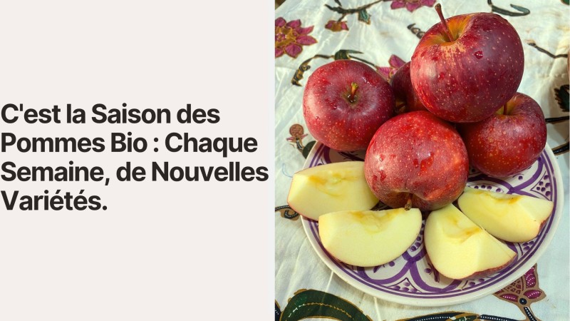 It's Organic Apple Season: Weekly Arrivals of New Varieties