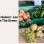 Organic Seasonal Fruits: The Green Souk's Fresh Arrivals