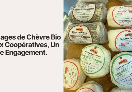 Fromages de Chèvre Bio : Deux Coopératives, Un Même Engagement
