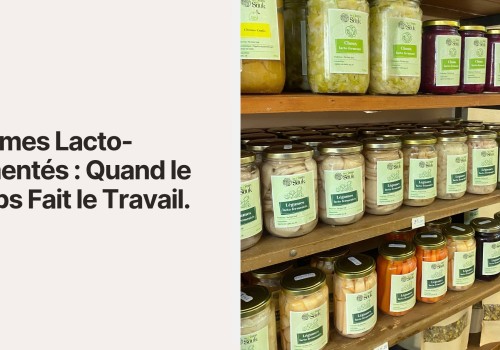 Légumes Lacto-Fermentés : Quand le Temps Fait le Travail