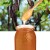 Miel de Caroubier Naturel – 500 g