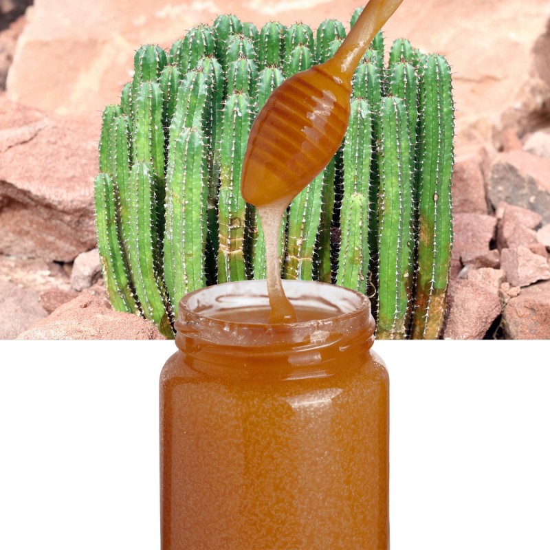Miel d'Euphorbia (Daghmouss) du Maroc – 500 g Miel d'Euphorbia (Daghmouss) du Maroc – 500 g
