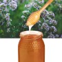 Wild Thyme Honey from Ouazzane – 500 g
