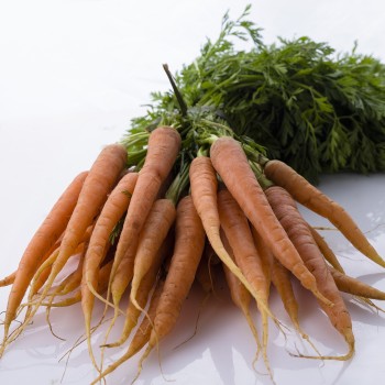 Organic Baby Carrots with Tops 1 kg
