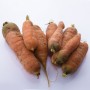 Carottes bio 1 kg