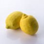 Citrons bio 1 kg