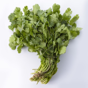 Fresh Organic Coriander 1 Bunch – Aromatic Herb
