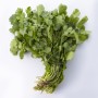 Fresh Organic Coriander 1 Bunch – Aromatic Herb