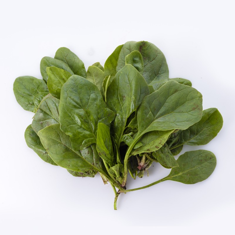 Épinards frais bio 1 botte – Légume vert nutritif Épinards frais bio 1 botte – Légume vert nutritif