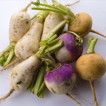 Navets beldi 1Kg Navets beldi 1Kg