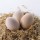 Beldi Eggs & Natural Dairy Products