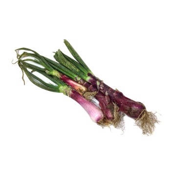 Organic Spring Onions – 1 kg